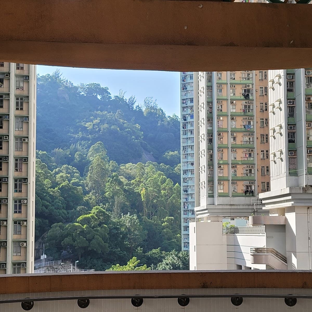 高翔苑停車場 實景照片 4