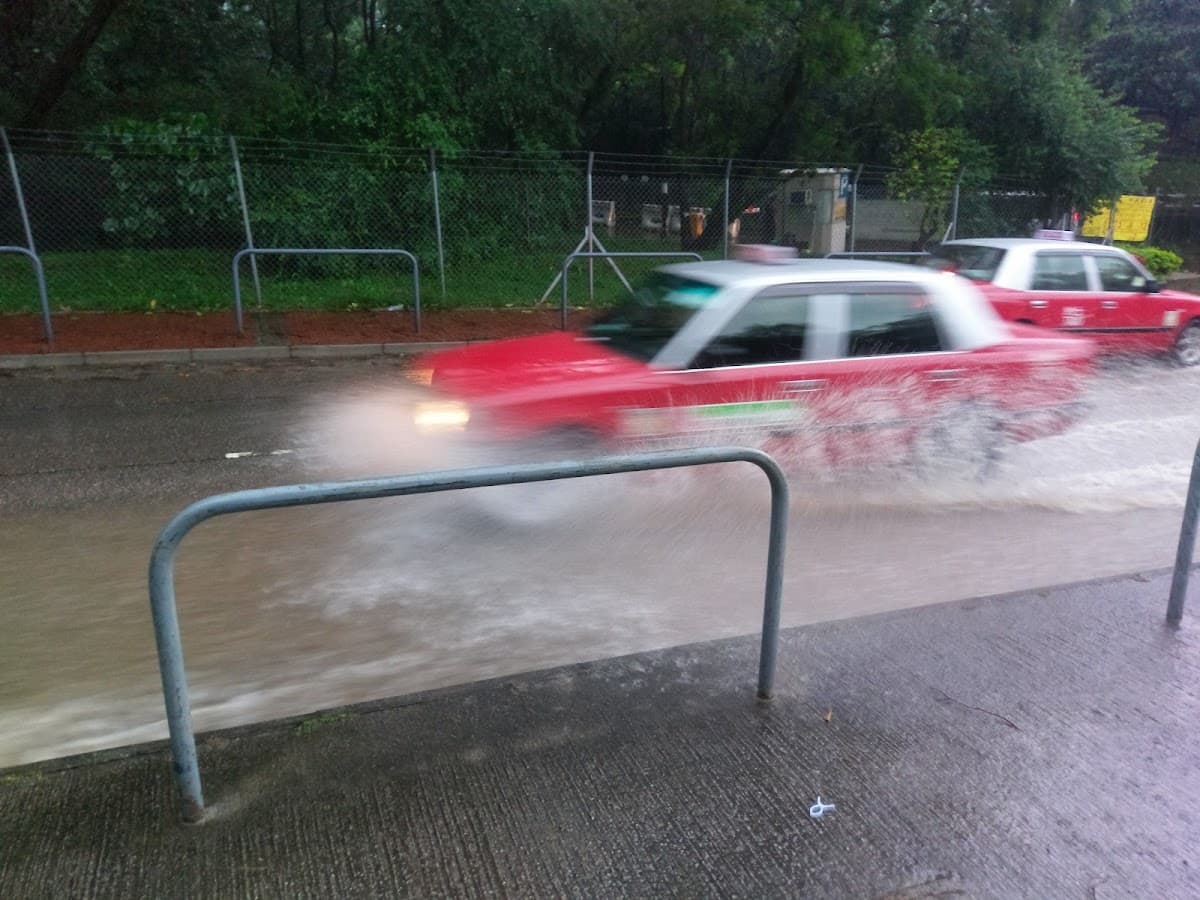 牛池灣公園停車場 實景照片 8