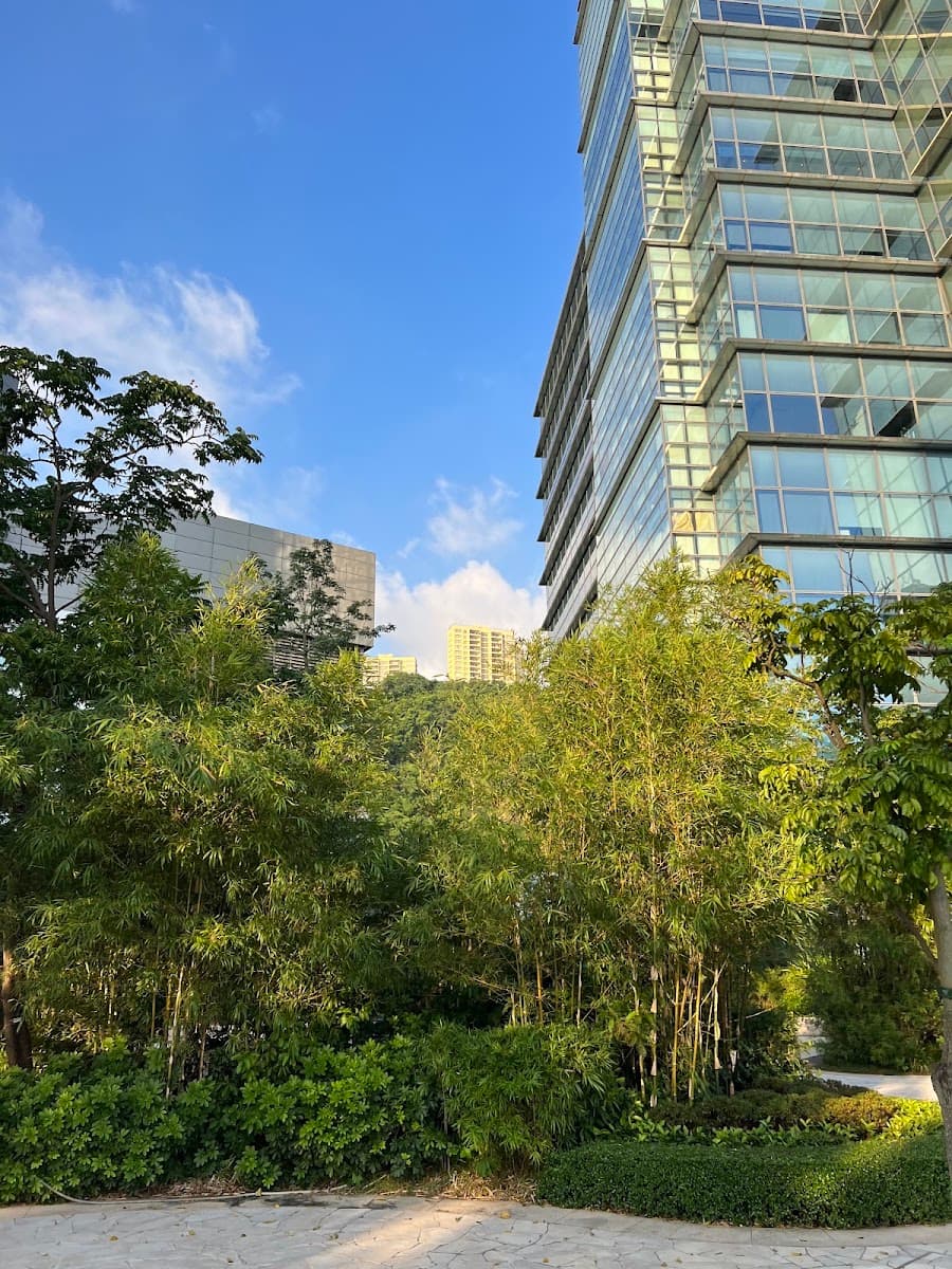 數碼港 Cyberport 停車場 實景照片 6
