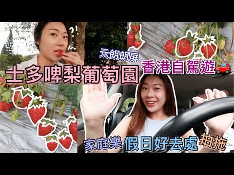 【cq’s vlog】摘士多啤梨🍓元朗朗屏大棠村🔥香港自駕遊好去處🚗家庭樂拍拖閨蜜一齊去👭🏼交通方便🚗假日悠閑活動
