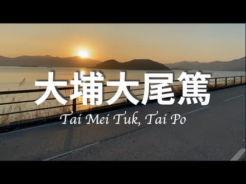 〖香港自駕〗大埔大尾篤遊車河．荃灣往大埔（經龍尾灘沙灘、汀角路）｜大美督 2 咪錶泊車位/停車場 ｜車Cam // Tai Po - Tai Mei Tuk Parking Lot