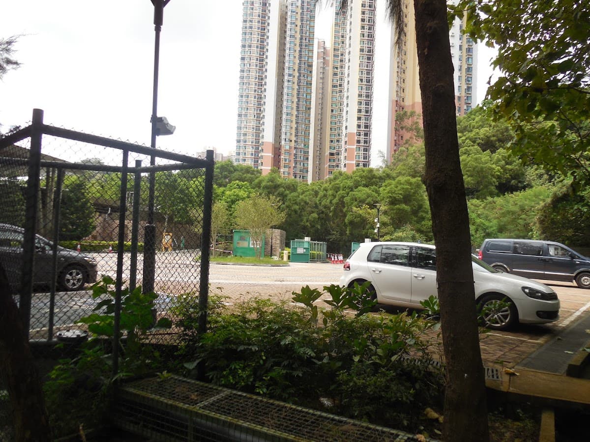 牛池灣公園停車場 實景照片 4
