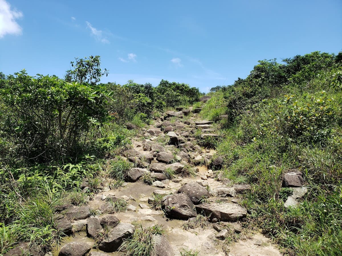 蝦山篤停車位 實景照片 10