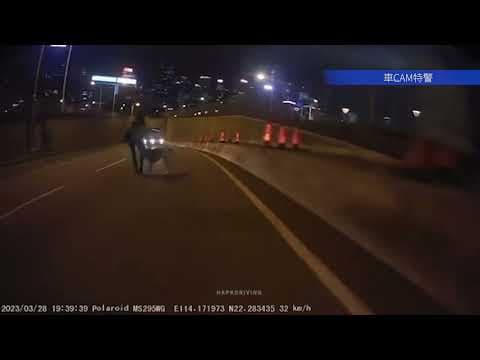 車CAM直擊 - 繞道會展出口遇跑狗 請記緊落狗帶及照顧好同行寵物