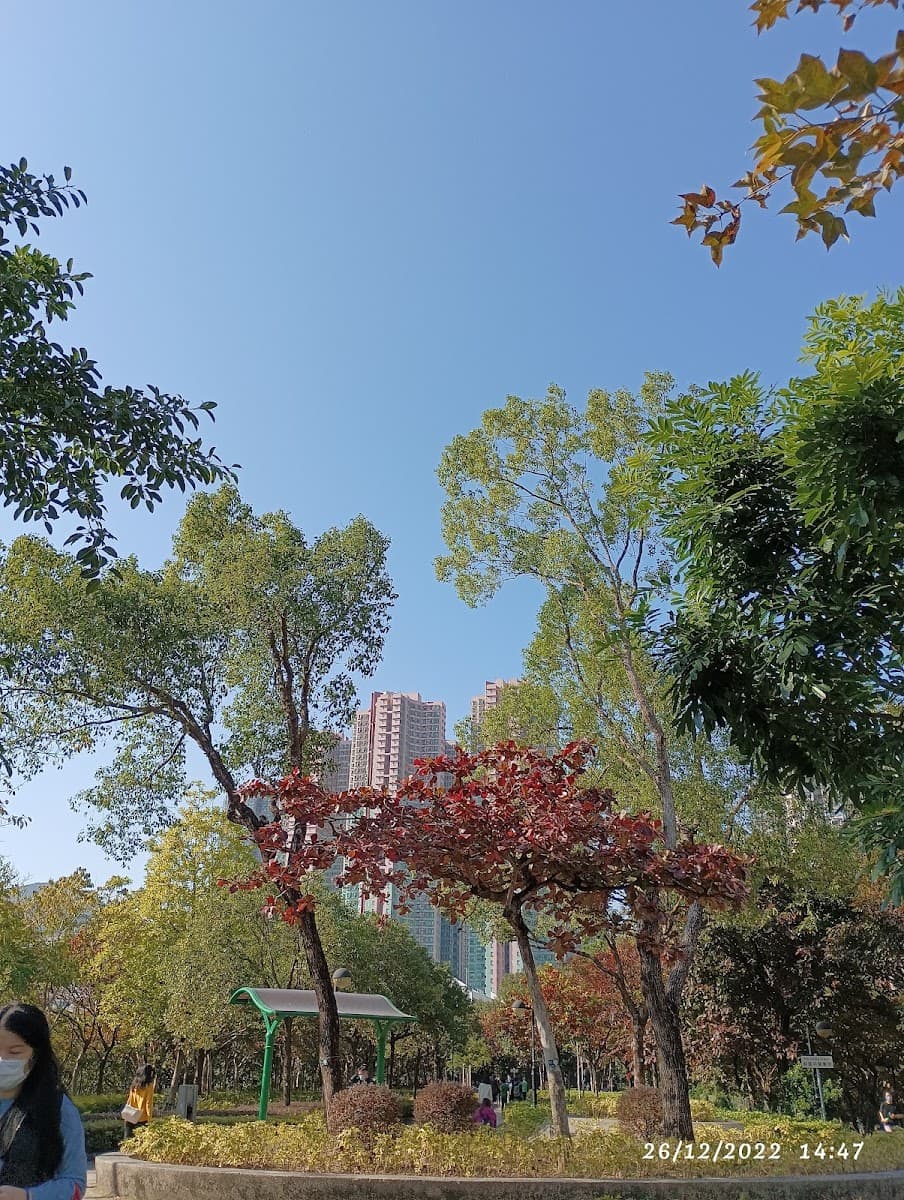 疊翠軒停車場 實景照片 10