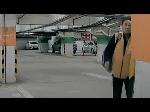車CAM直擊 - 粉嶺名都 奇怪阿叔掉電芯係人車頭 同場加映疑似車場老鼠 (轉載)