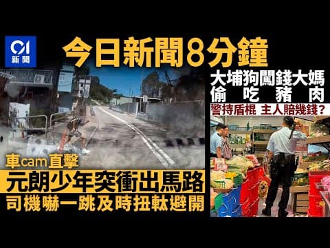 #今日新聞  香港 元朗少年突衝出馬路  司機急扭軚避開｜大埔狗闖錢大媽偷吃豬肉  警持盾牌警棍戒備｜01新聞｜車CAM｜狗｜內地通行證｜潘展樂｜錢大媽｜2024年8月3日 #hongkongnews