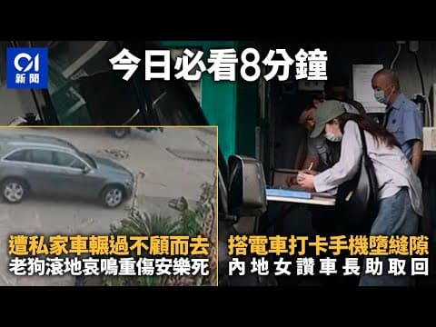 #今日新聞 香港｜馬鞍山狗狗遭輾過不顧而去  重傷需安樂死   發文者斥車主態度輕浮｜內地女香港搭電車打卡　誤跌手機入縫隙　發讚揚信感激車長助取回｜車Cam｜劫案｜尊子｜Hong Kong News