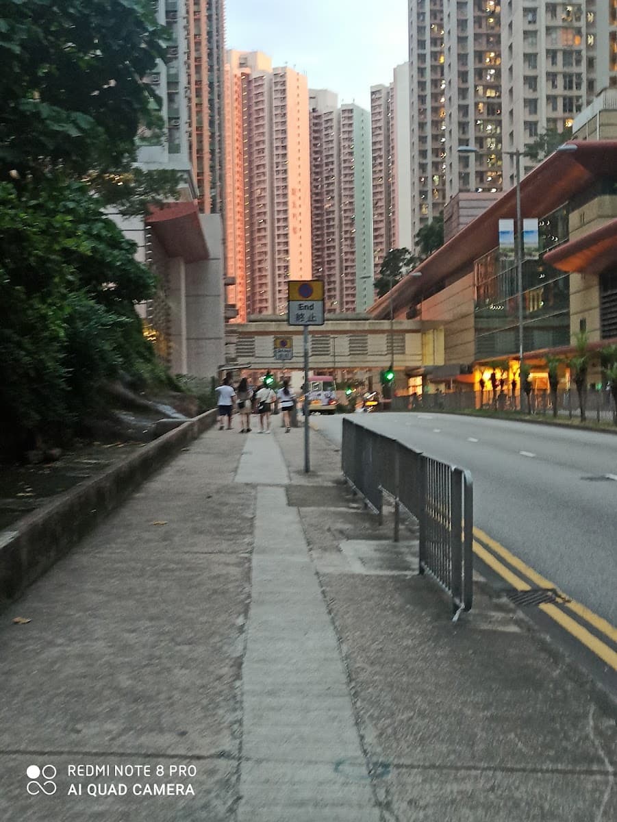 高翔苑停車場 實景照片 7
