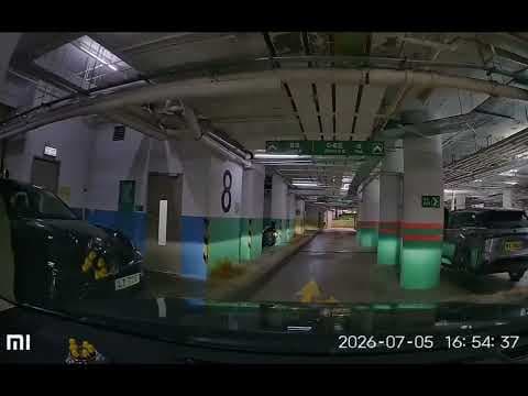 元朗采葉庭停車場 (入) The Parcville Carpark in Yuen Long (In)
