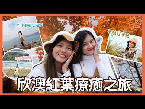 【大嶼山欣澳紅葉療癒一日遊】欣澳唔使行山都可以睇紅葉，仲有芒草路軌日系打卡位丨欣澳海濱長廊郊遊交通路線攻略丨香港紅葉芒草好去處2021丨欣澳海堤車中泊自駕野餐地點