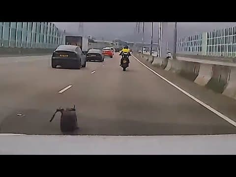 車CAM直擊 - 8451 電單車司機，你個袋跌咗係粉嶺公路近南華個邊