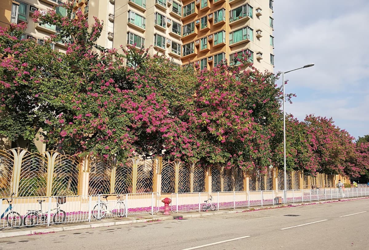 采葉庭停車場 實景照片 9