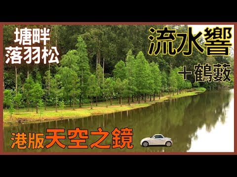 【自駕日常】流水響 & 鶴藪｜☆天空之鏡｜遊車河｜香港自駕｜附駕駛路線＋泊車位置