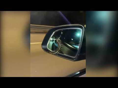 車CAM直擊 - 揸揸下見到蜈蚣係側鏡 真係好嚇人🫣