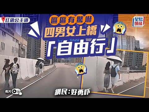 車Cam直擊｜車路當行人路 紅磡四男女公主道行上橋 網民：好勇吓｜星島頭條新聞｜馬路｜紅磡｜公主道｜馬路如虎口｜自由行