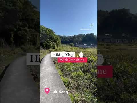 【揸車🚗VLOG】📍Luk Keng 鹿頸 Hiking with Sunshine :] 香港行山 🚗 自駕遊 🇭🇰 ㊙️ドライビングツアー