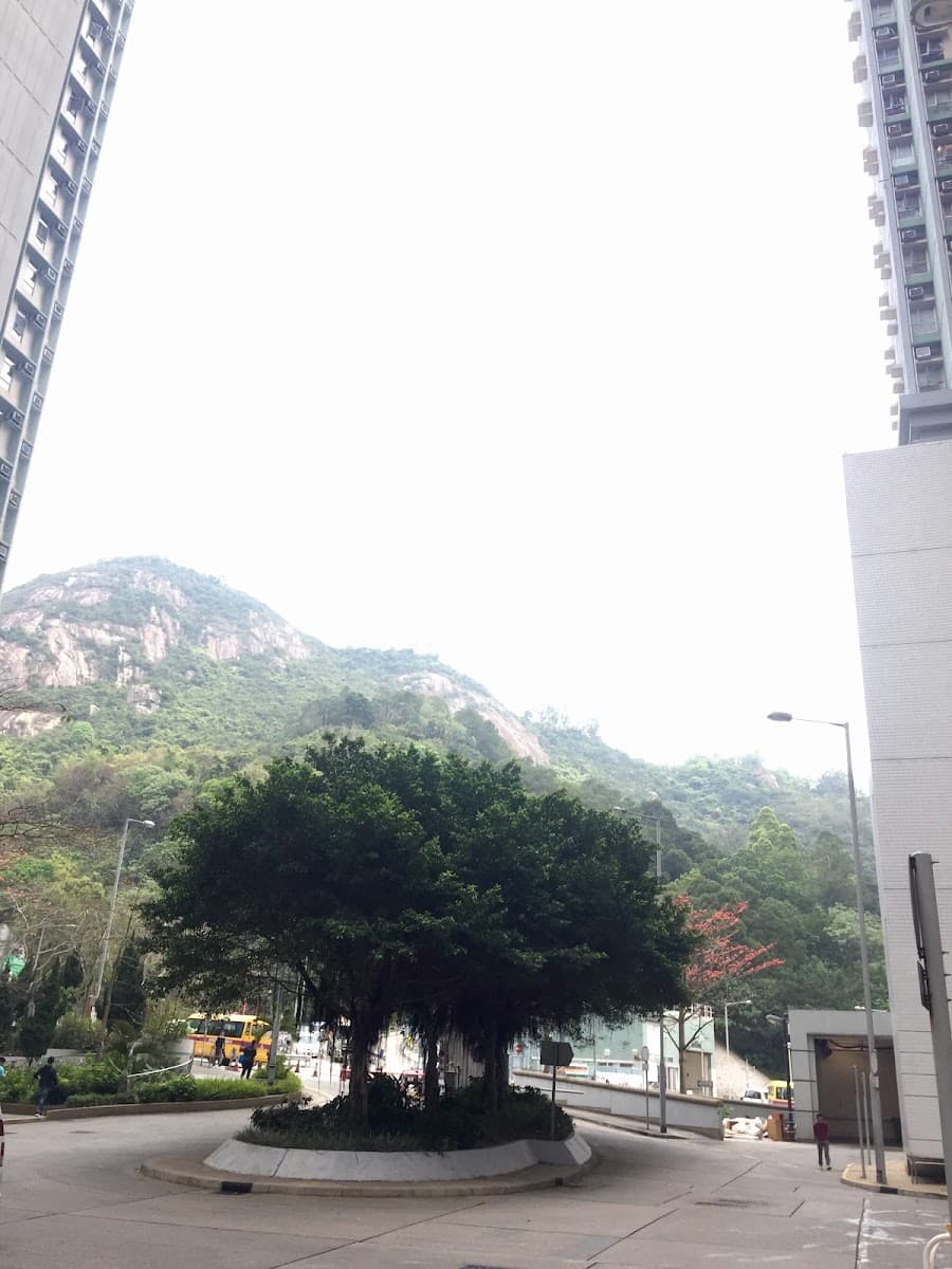 高翔苑停車場 實景照片 6