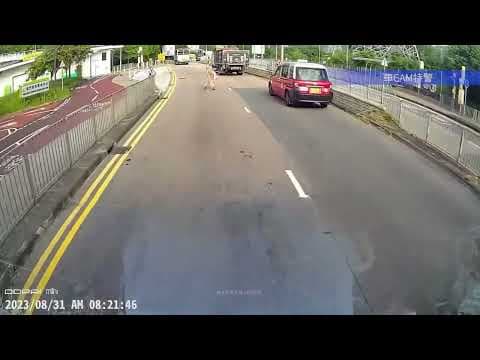 車CAM直擊 - 小心．．．屯門兆康粉紅教主