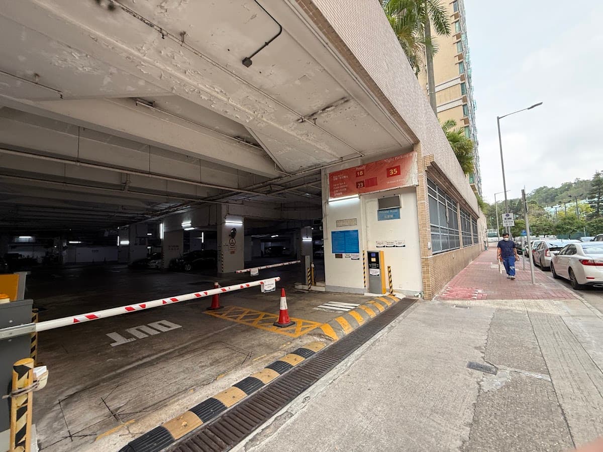 龍成花園停車場 實景照片 1