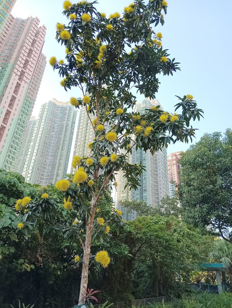 疊翠軒停車場 實景照片 9