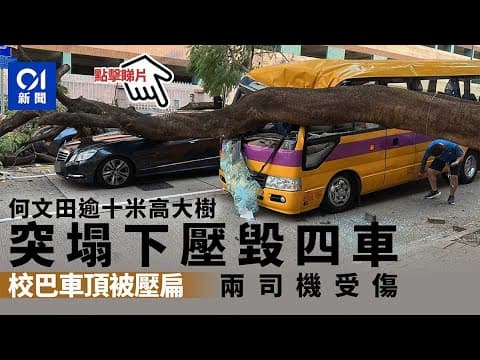 車CAM直擊｜何文田塌樹　壓扁校巴三私家車　二人受傷｜01新聞