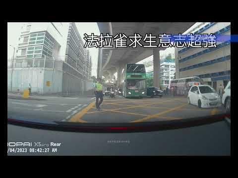 車CAM直擊 - 黃格仔下的法拉雀 #俾啲掙扎