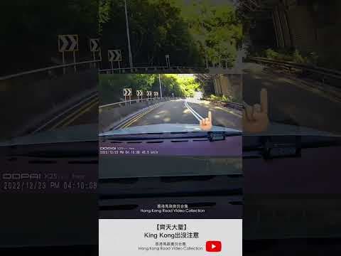【齊天大聖】King Kong出沒注意 | 車CAM直擊 | 香港馬路實況合集 Hong Kong Car Video Collection