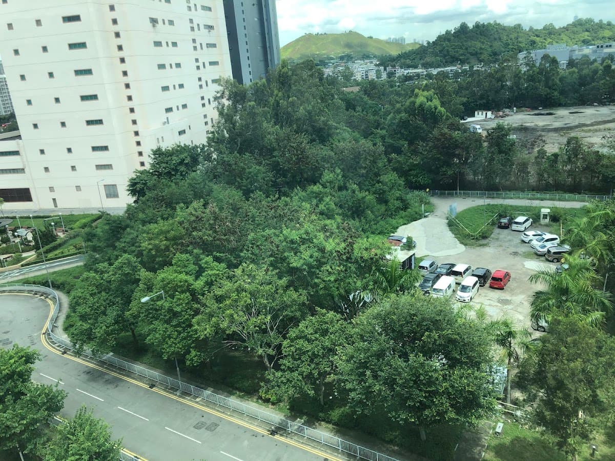 采葉庭停車場 實景照片 8