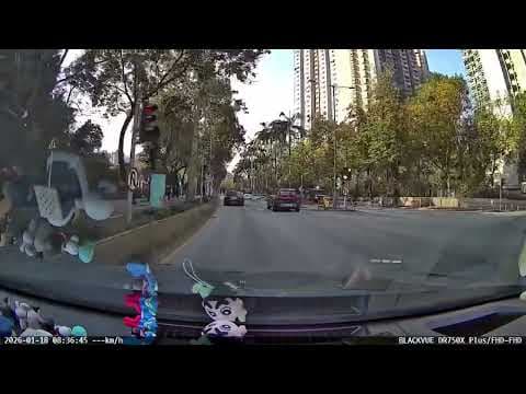 車CAM直擊 - 上水天平路 單車女捱貨Van撞 昏迷送院搶救不治