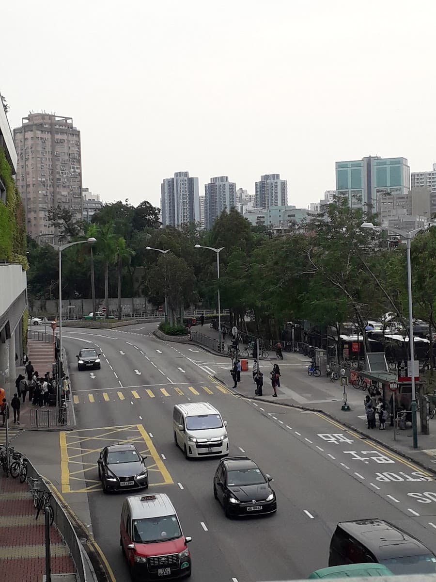 元朗朗日路露天停車場 實景照片 10
