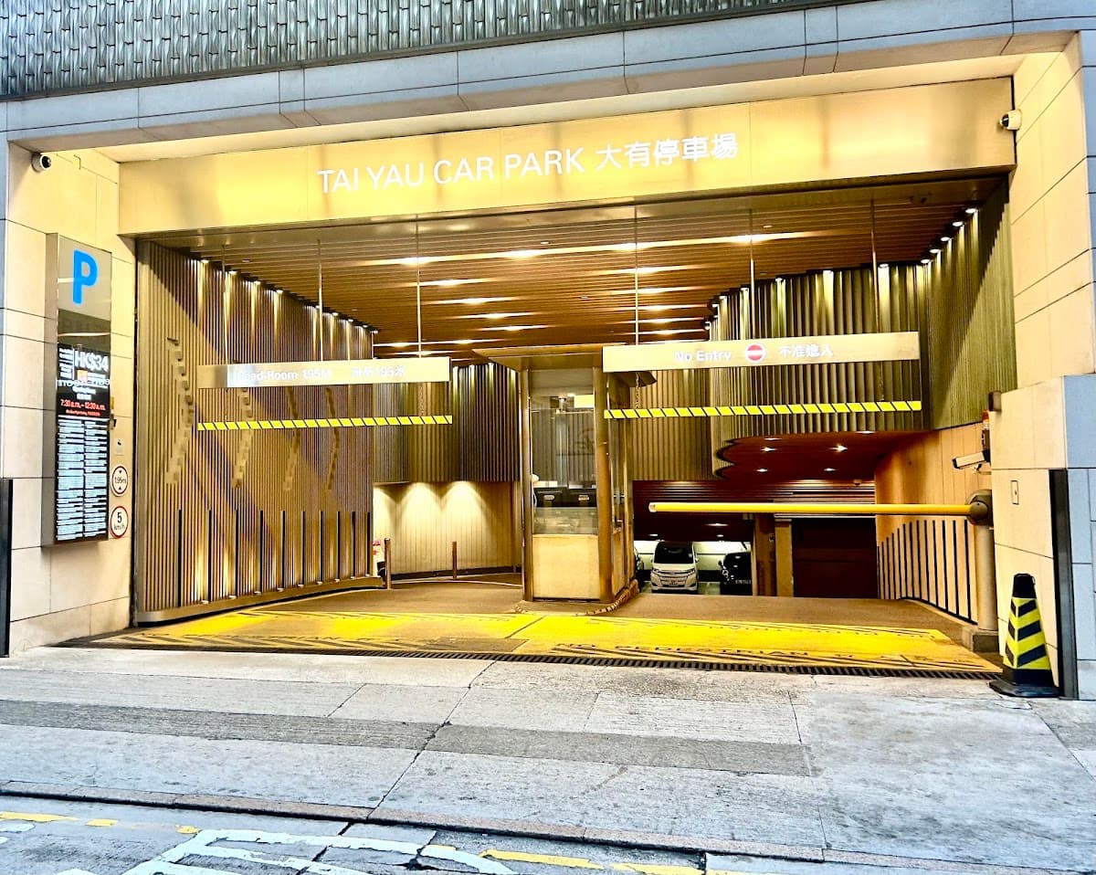 大有廣場 Tai Yau Plaza 停車場 實景照片 10