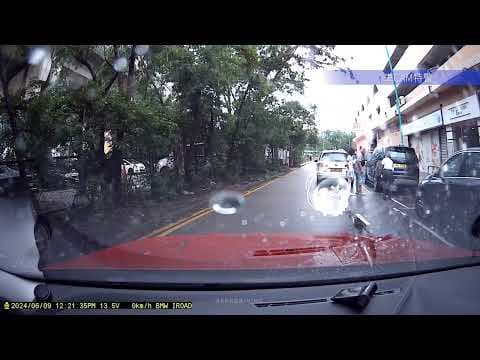 車CAM直擊 - 康麗花園 私家車倒車 撞跌過路人 (轉載)