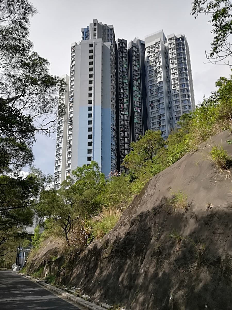 水泉澳邨停車場 實景照片 7