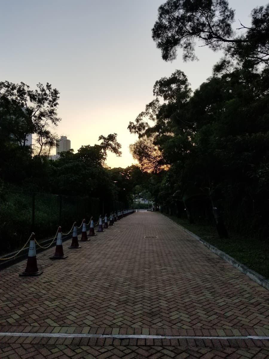 牛池灣公園停車場 實景照片 9