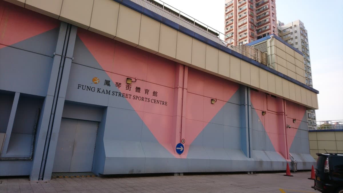 鳳琴街體育館停車場 實景照片 8