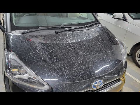 香港車CAM - 天降甘露 可憐車主比唔知咩水淋 #shorts