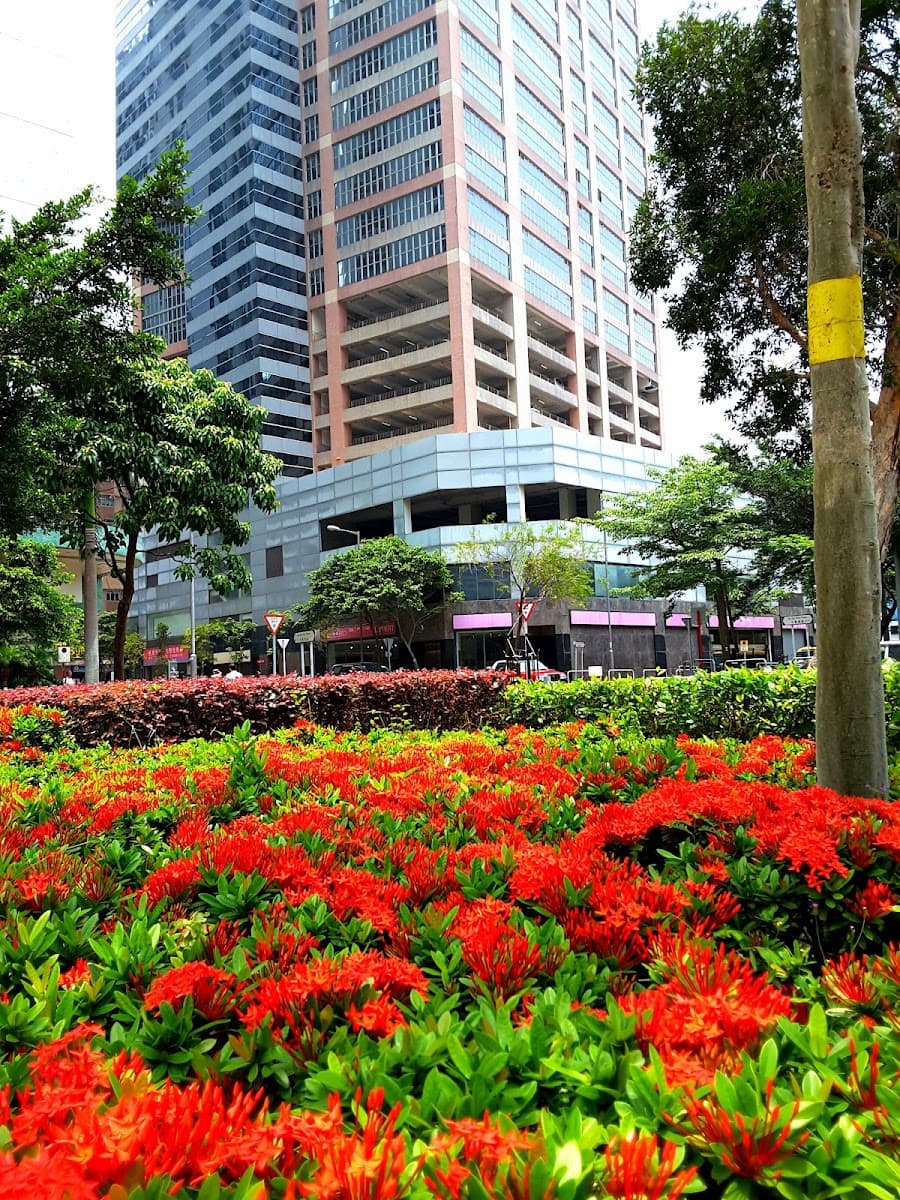 八號商業廣場停車場 實景照片 6