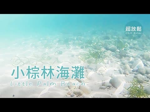小棕林海灘丨水清沙幼丨自駕遊丨晴天丨Little Palm Beach 丨Crystal Water and Sandy Beach丨Road Trip丨Sunny Day