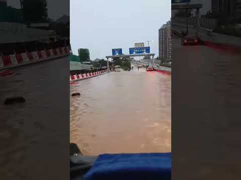 車CAM直擊 - 未到濕地公園先興奮 多車死火 水浸到入埋巴士車箱