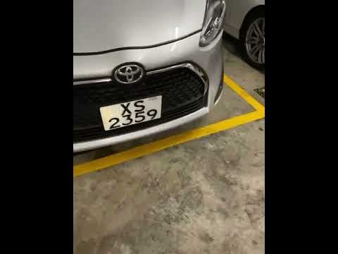 車CAM直擊 - 衰狗主留隻狗喺架車度仲要唔開窗