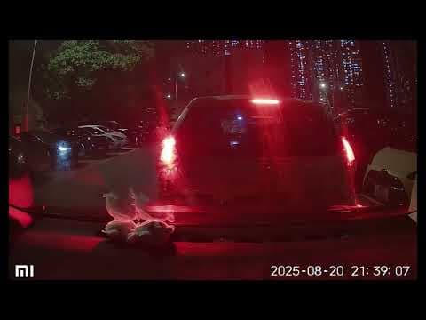 車CAM直擊 - ZA3753 請小心駕駛 🙏 石角路錶位