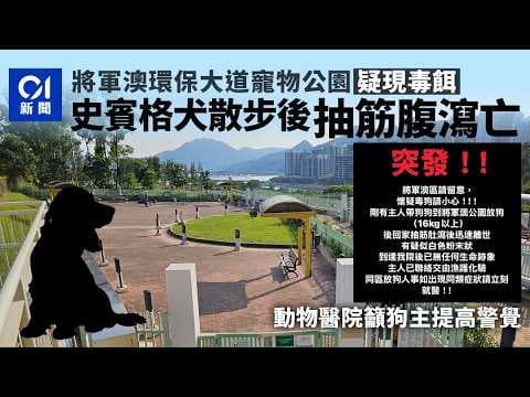【01秒看新聞】環保大道寵物公園疑現毒餌　史賓格犬散步後抽筋肚瀉亡　警正了解｜01新聞｜將軍澳｜毒餌｜寵物｜動物保護｜愛協