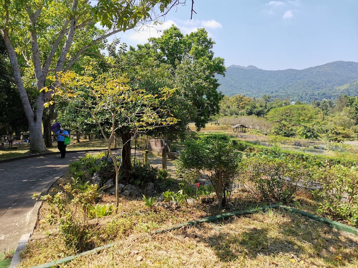 西貢獅子會自然教育中心停車場 實景照片 7