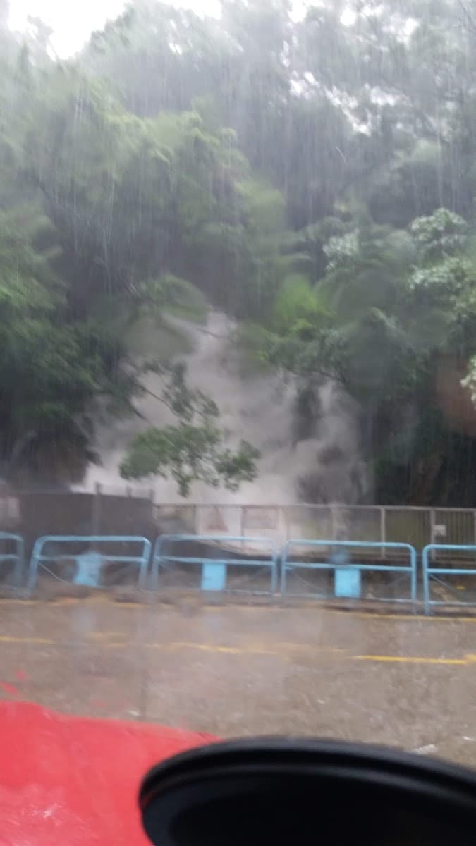 鯉安苑停車場 實景照片 10