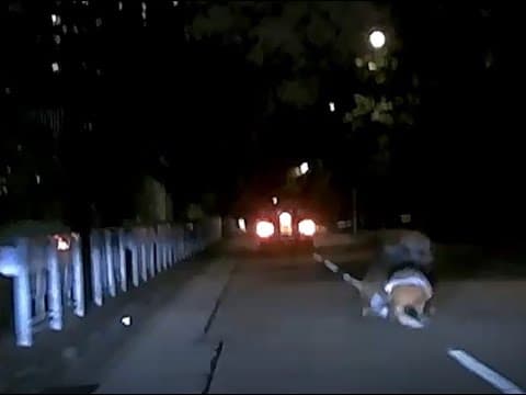 車CAM直擊 - 衛理道的士揩到路中心推車阿婆