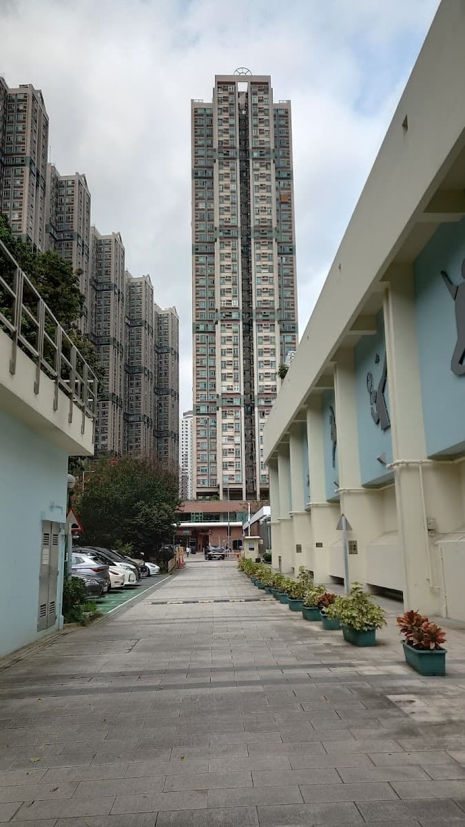 和興體育館停車場 實景照片 5