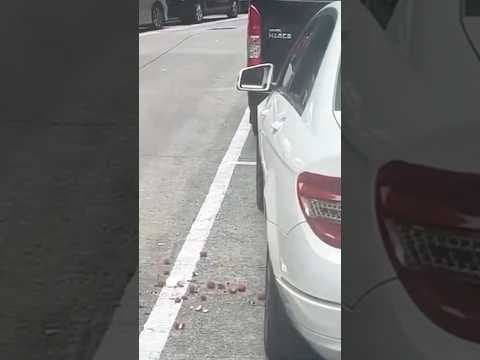 WK1080垃圾蟲影響市容 美麗新香港！ #車cam #hk #香港 #gta #交通意外 #極速 #頭文字d #車cam直擊 #垃圾 #shorts