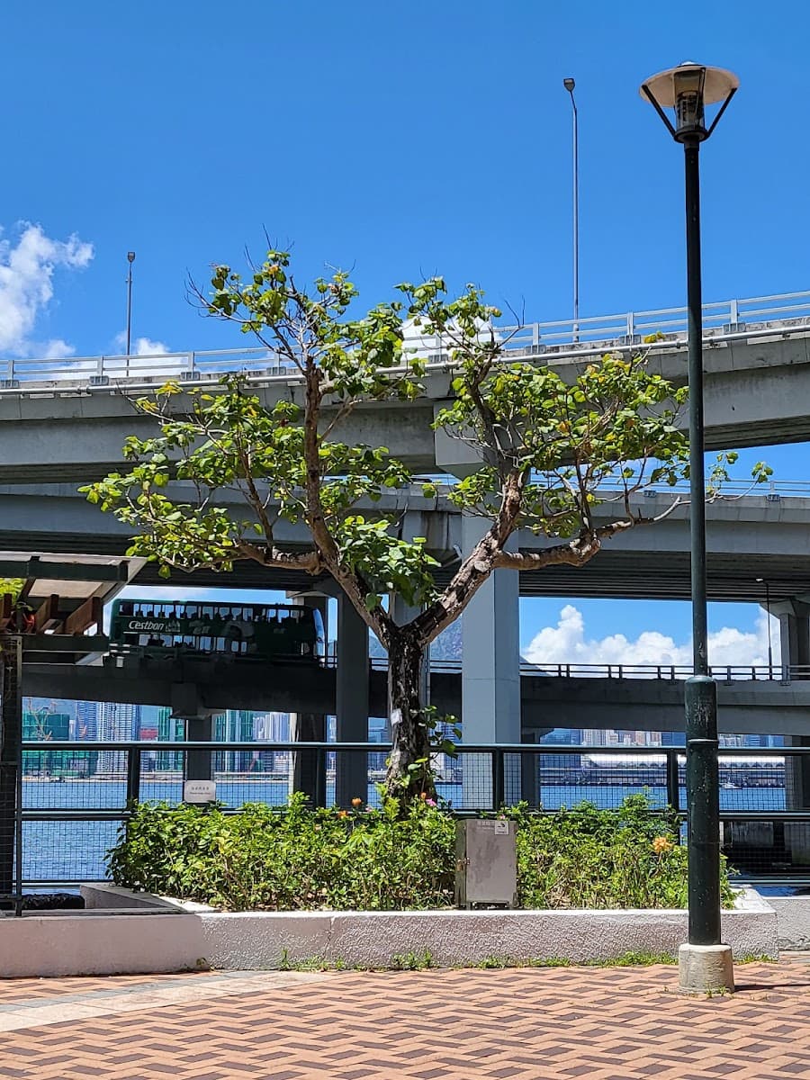 嘉華國際中心 K. Wah Centre 停車場 實景照片 6