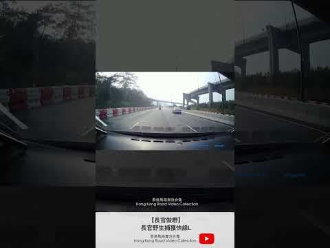 【長官做嘢】長官野生捕獲快線L | 車CAM直擊 | 香港馬路實況合集 Hong Kong Car Video Collection